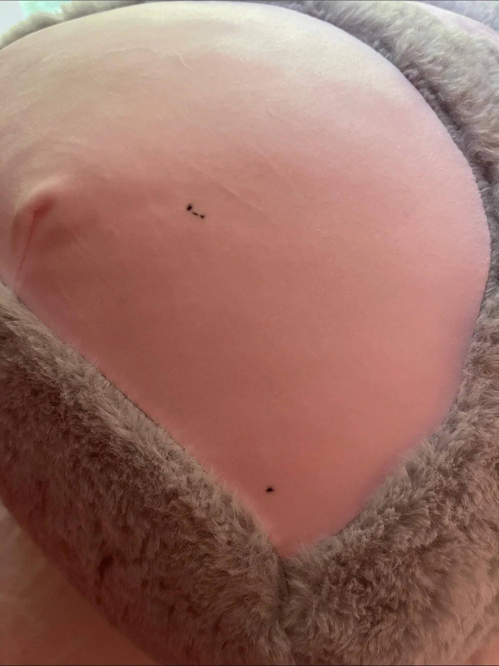 Squishmallow